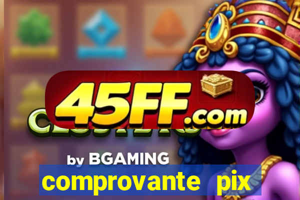 comprovante pix fake meme